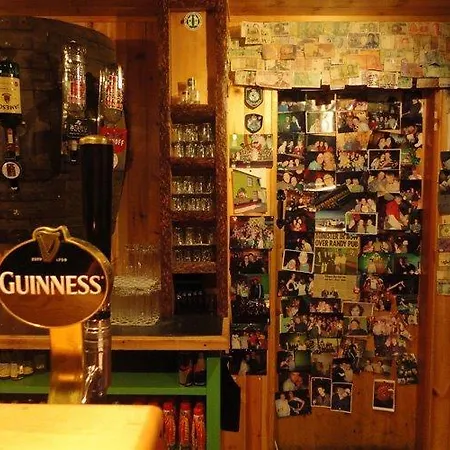 旅馆 Paddy's Palace Dingle Peninsula 安纳斯考尔