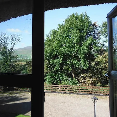 Paddy's Palace Dingle Peninsula 安纳斯考尔