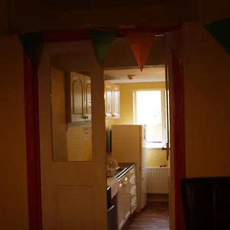 旅馆 Paddy's Palace Dingle Peninsula *