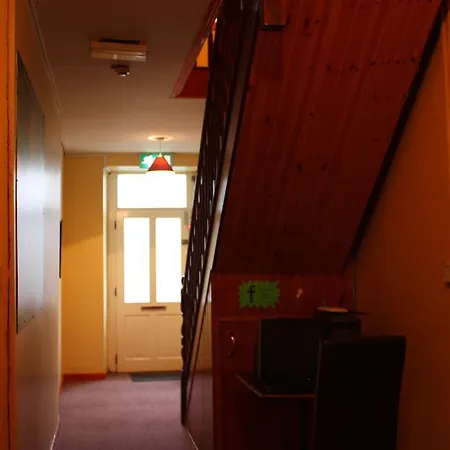 旅馆 Paddy's Palace Dingle Peninsula 安纳斯考尔