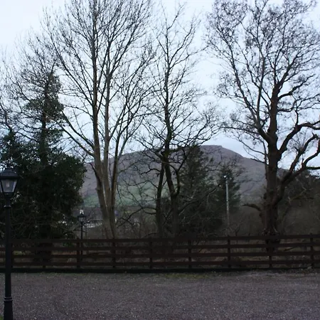 旅馆 Paddy's Palace Dingle Peninsula 安纳斯考尔