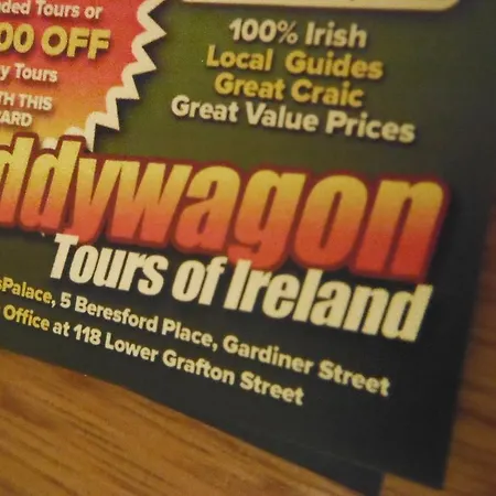 旅馆 Paddy's Palace Dingle Peninsula 安纳斯考尔